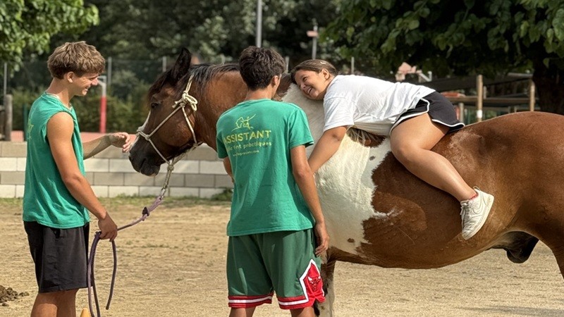 Colònies amb cavalls 